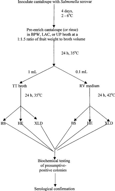 biochemical tests for salmonella|BAM Chapter 5: Salmonella .
